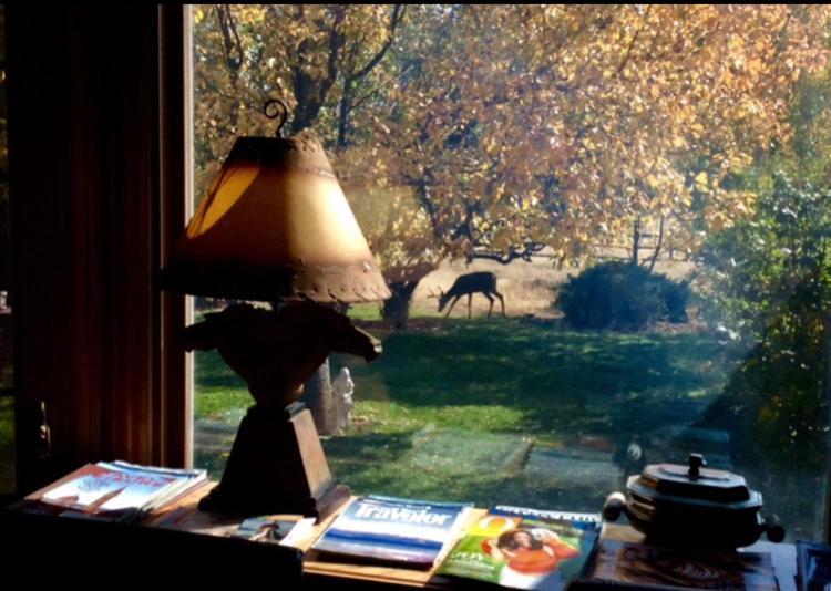 Sundance Suite - Prairie Rose Bed & Breakfast Cheyenne Exteriér fotografie